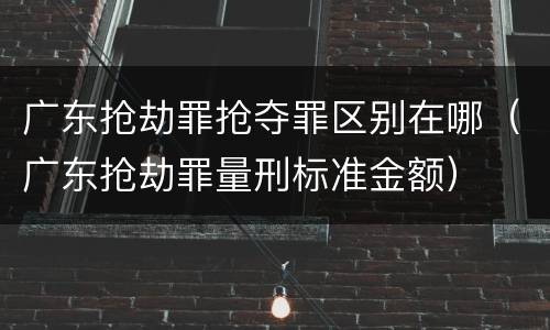 广东抢劫罪抢夺罪区别在哪（广东抢劫罪量刑标准金额）
