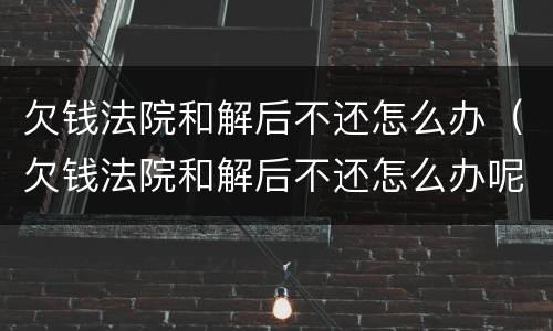 欠钱法院和解后不还怎么办（欠钱法院和解后不还怎么办呢）
