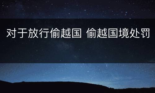 对于放行偷越国 偷越国境处罚