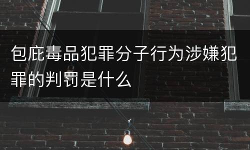 包庇毒品犯罪分子行为涉嫌犯罪的判罚是什么