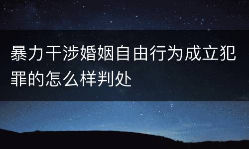 暴力干涉婚姻自由行为成立犯罪的怎么样判处