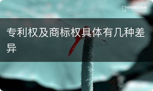 专利权及商标权具体有几种差异