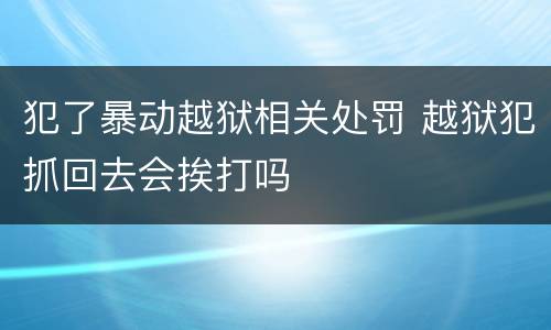 犯了暴动越狱相关处罚 越狱犯抓回去会挨打吗