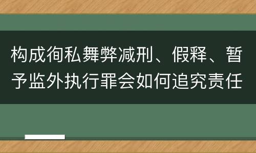 构成徇私舞弊减刑、假释、暂予监外执行罪会如何追究责任