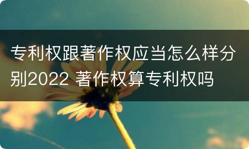 专利权跟著作权应当怎么样分别2022 著作权算专利权吗