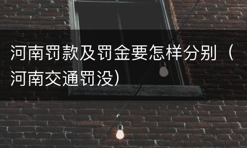 河南罚款及罚金要怎样分别（河南交通罚没）