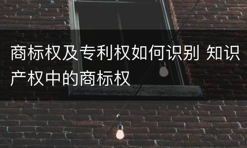 商标权及专利权如何识别 知识产权中的商标权