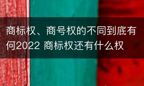 商标权、商号权的不同到底有何2022 商标权还有什么权