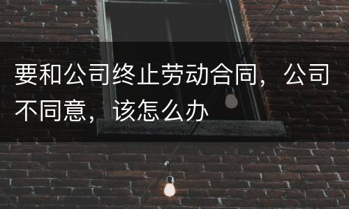 要和公司终止劳动合同，公司不同意，该怎么办