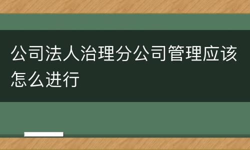公司法人治理分公司管理应该怎么进行