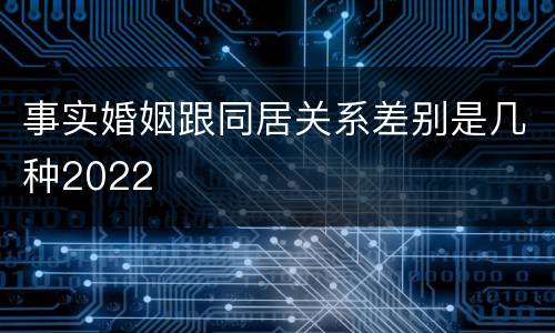 事实婚姻跟同居关系差别是几种2022