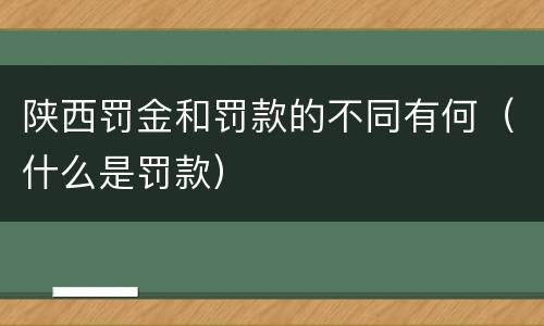 陕西罚金和罚款的不同有何（什么是罚款）