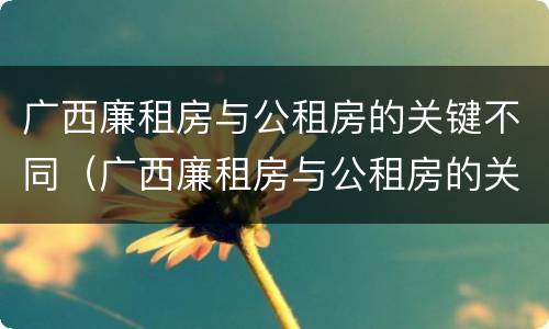广西廉租房与公租房的关键不同（广西廉租房与公租房的关键不同点）