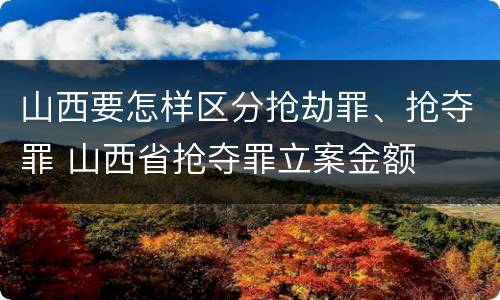 山西要怎样区分抢劫罪、抢夺罪 山西省抢夺罪立案金额