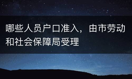 哪些人员户口准入，由市劳动和社会保障局受理