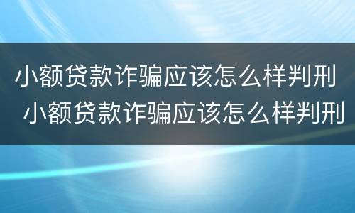 小额贷款诈骗应该怎么样判刑 小额贷款诈骗应该怎么样判刑案例