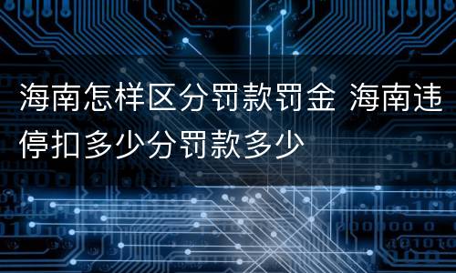 海南怎样区分罚款罚金 海南违停扣多少分罚款多少