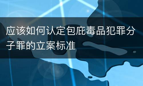 应该如何认定包庇毒品犯罪分子罪的立案标准