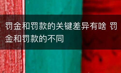罚金和罚款的关键差异有啥 罚金和罚款的不同