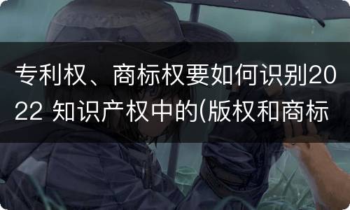 专利权、商标权要如何识别2022 知识产权中的(版权和商标权与标准