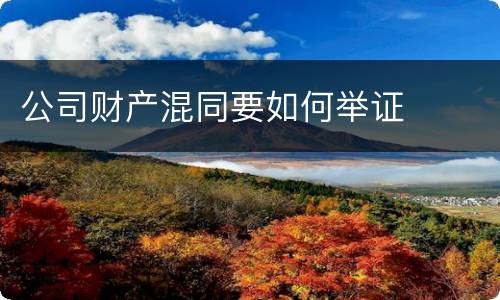 公司财产混同要如何举证