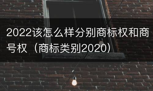 2022该怎么样分别商标权和商号权（商标类别2020）