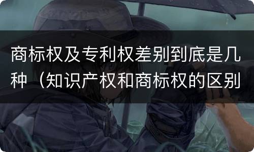 商标权及专利权差别到底是几种（知识产权和商标权的区别）