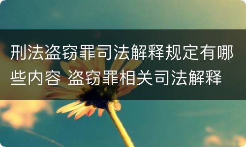 刑法盗窃罪司法解释规定有哪些内容 盗窃罪相关司法解释