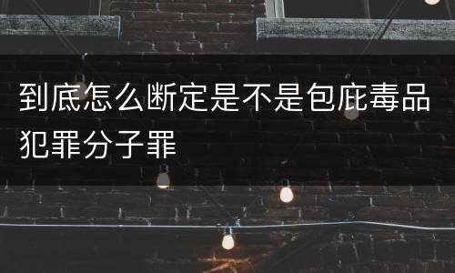 到底怎么断定是不是包庇毒品犯罪分子罪