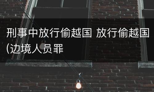 刑事中放行偷越国 放行偷越国(边境人员罪