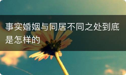 事实婚姻与同居不同之处到底是怎样的