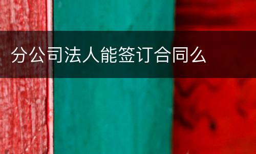 分公司法人能签订合同么