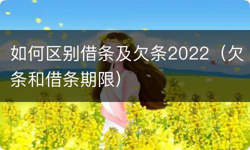如何区别借条及欠条2022（欠条和借条期限）