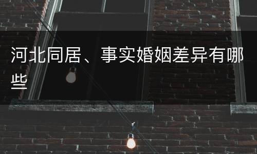 河北同居、事实婚姻差异有哪些
