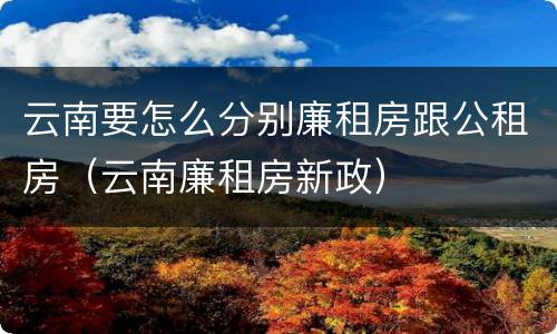 云南要怎么分别廉租房跟公租房（云南廉租房新政）
