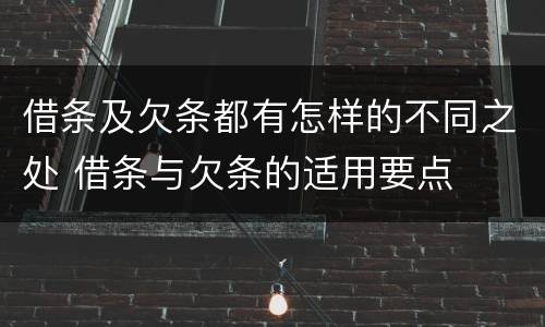 借条及欠条都有怎样的不同之处 借条与欠条的适用要点