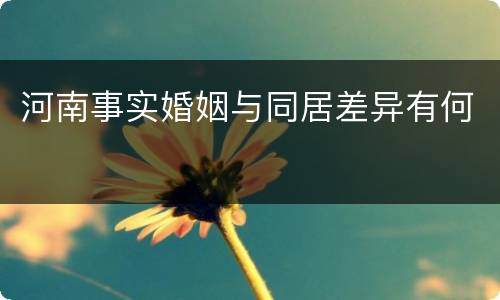 河南事实婚姻与同居差异有何