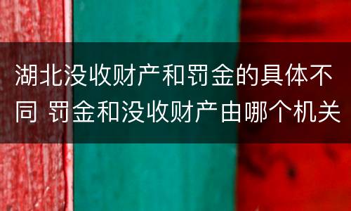 湖北没收财产和罚金的具体不同 罚金和没收财产由哪个机关执行