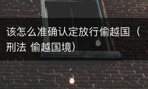 该怎么准确认定放行偷越国（刑法 偷越国境）