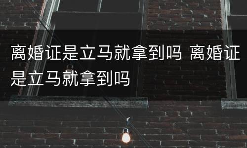离婚证是立马就拿到吗 离婚证是立马就拿到吗