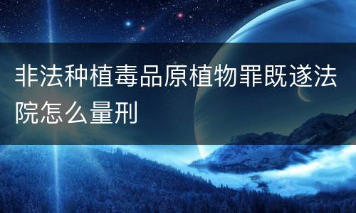非法种植毒品原植物罪既遂法院怎么量刑