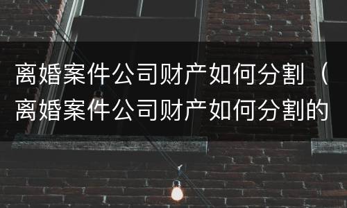 离婚案件公司财产如何分割（离婚案件公司财产如何分割的）