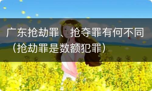 广东抢劫罪、抢夺罪有何不同（抢劫罪是数额犯罪）