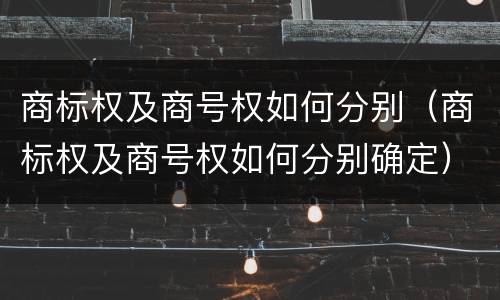 商标权及商号权如何分别（商标权及商号权如何分别确定）