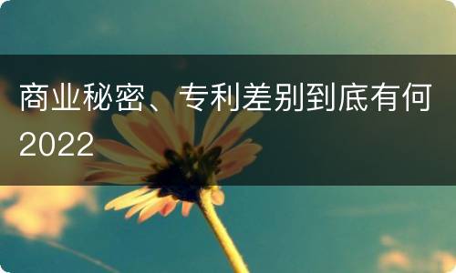 商业秘密、专利差别到底有何2022
