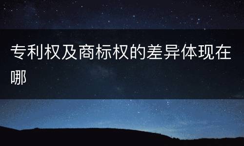 专利权及商标权的差异体现在哪