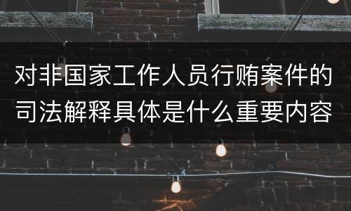 对非国家工作人员行贿案件的司法解释具体是什么重要内容