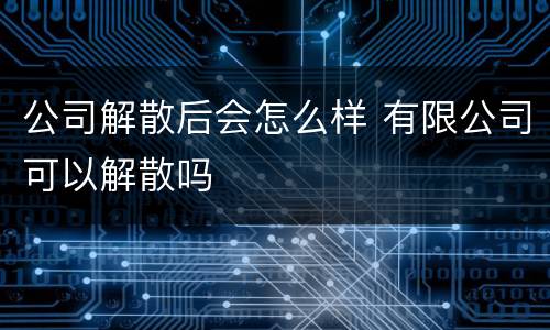 公司解散后会怎么样 有限公司可以解散吗