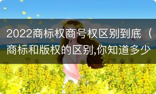 2022商标权商号权区别到底（商标和版权的区别,你知道多少?）