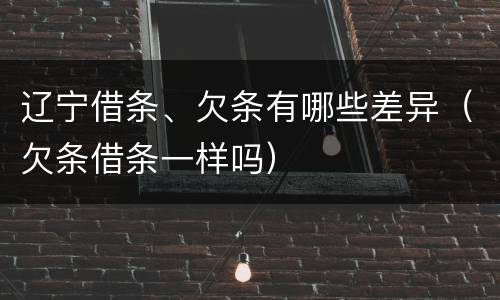 辽宁借条、欠条有哪些差异（欠条借条一样吗）